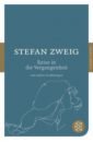 Zweig Stefan Die Reise in die Vergangenheit und andere Erzählungen цена и фото