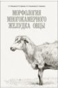 Мельников Сергей Игоревич, Щипакин Михаил Валентинович, Былинская Дарья Сергеевна Морфология многокамерного желудка овцы. Монография