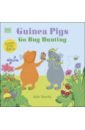 Sheehy Kate Guinea Pigs Go Bug Hunting adau1401 adau1701 dspmini learning board upgrading to adau1401