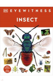 Insect Dorling Kindersley