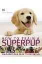 Bailey Gwen How to Train a Superpup mattinson pippa the happy puppy handbook
