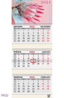 Календарь квартальный на 2024 год Protea Brauberg - фото 1