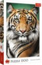 Обложка Пазл-1500 Портрет тигра