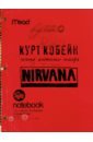 Обложка Курт Кобейн. Личные дневники лидера Nirvana