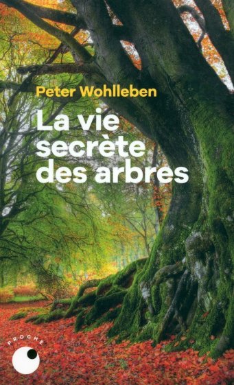 La vie secrete des arbres