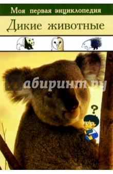Дикие животные обложка книги Дикие животные обложка книги