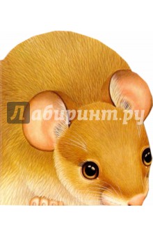 Про мышку. Зверята - В. Комаров