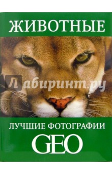 Животные: Лучшие фотографии GEO