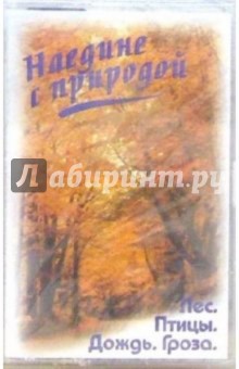 А/к. Наедине с природой: Лес. Птицы. Дождь. Гроза