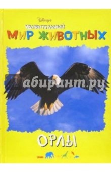Удивительный мир животных: Орлы обложка книги Удивительный мир животных: Орлы обложка книги