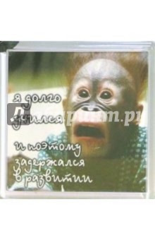 Магнитные подарочки. Я долго учился... (М-029) Магнитные подарочки. Я долго учился... (М-029)