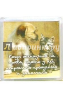 Магнитные подарочки. Когда женщина не права (М-201) Магнитные подарочки. Когда женщина не права (М-201)