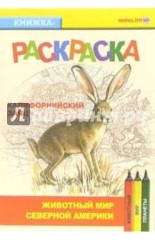 Калифорнийский заяц. Живой мир Америки