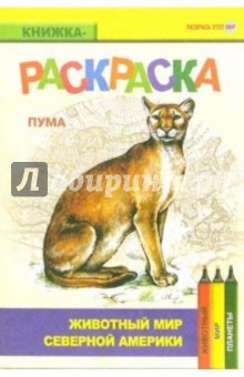 Пума. Живой мир Америки
