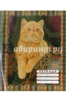 Обложка для тетради (кот рыжий) Обложка для тетради (кот рыжий)