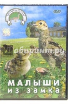 Малыши из замка (DVD) - Вацлав Чалоупек