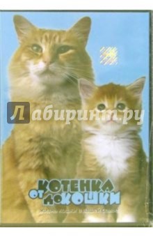 Дэвид Смит - От котенка до кошки Дэвид Смит - От котенка до кошки
