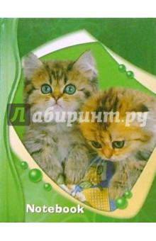 Записная книжка А6 (клетка) /С24308 Голубоглазая парочка Записная книжка А6 (клетка) /С24308 Голубоглазая парочка