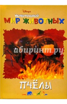 Удивительный мир животных: Пчелы обложка книги Удивительный мир животных: Пчелы обложка книги