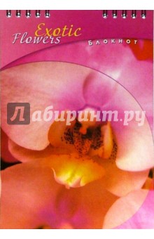 Блокнот А5 48 листов (клетка)/С2850 Лилия Блокнот А5 48 листов (клетка)/С2850 Лилия