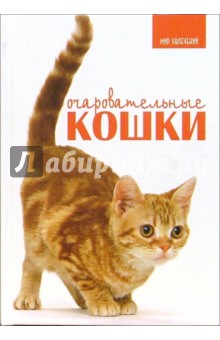 Карен Принс - Очаровательные кошки обложка книги Карен Принс - Очаровательные кошки обложка книги
