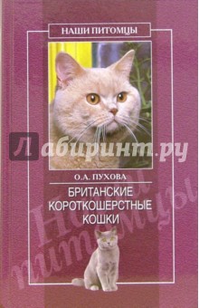 Британские короткошерстные кошки - Олеся Пухова