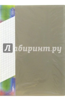 Папка 10 вкладышей. Y10K (серая) Папка 10 вкладышей. Y10K (серая)