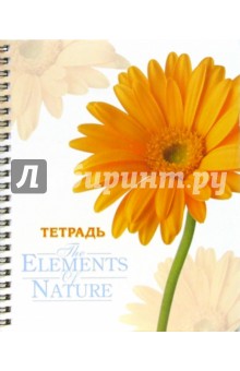 Тетрадь 60 листов клетка (ТС6601076,77,78,79) Тетрадь 60 листов клетка (ТС6601076,77,78,79)