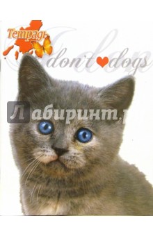 Тетрадь 48 листов, клетка. Дымчатый котенок (ТКЛ848707) Тетрадь 48 листов, клетка. Дымчатый котенок (ТКЛ848707)