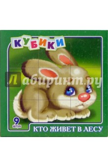 Кубики. Кто живет в лесу Кубики. Кто живет в лесу