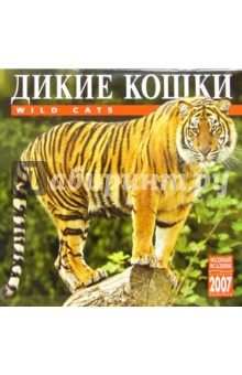 Календарь: Дикие кошки 2007 год (07144) Календарь: Дикие кошки 2007 год (07144)