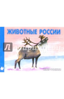 Животные Севера России. Раскраска (М-006) обложка книги Животные Севера России. Раскраска (М-006) обложка книги