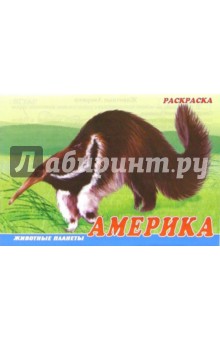 Животные Америки. Раскраска (М-014) обложка книги Животные Америки. Раскраска (М-014) обложка книги