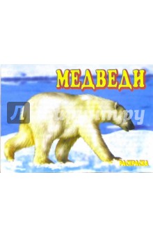Медведи. Раскраска (М-008) обложка книги Медведи. Раскраска (М-008) обложка книги