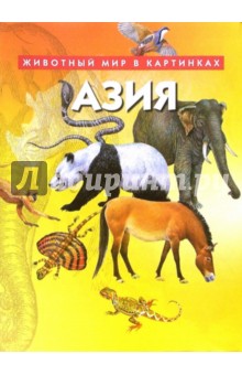 Азия обложка книги Азия обложка книги