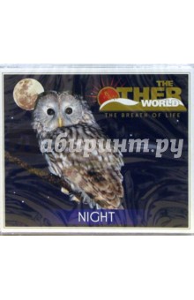 CD. Night CD. Night