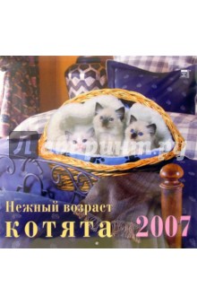 Календарь 2007 Нежный возраст. Котята (70603) Календарь 2007 Нежный возраст. Котята (70603)