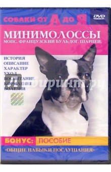 Минимолоссы Минимолоссы