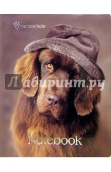 Notebook А6 80 листов (3381) (Rachael Hale Пес) Notebook А6 80 листов (3381) (Rachael Hale Пес)