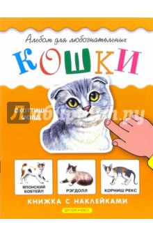 Инна Шустова - Кошки. Книжка с наклейками обложка книги Инна Шустова - Кошки. Книжка с наклейками обложка книги