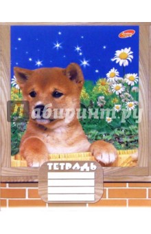 Тетрадь 24 листа клетка 2536-2539 (щенки-кирпич) Тетрадь 24 листа клетка 2536-2539 (щенки-кирпич)