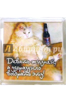 Магнитные подарочки. Девять жизней.. (М-003) Магнитные подарочки. Девять жизней.. (М-003)