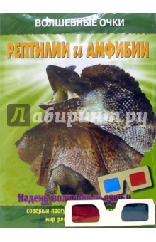 Волшебные очки: Рептилии и амфибии