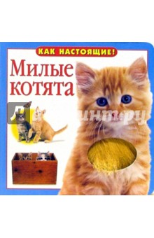 Милые котята обложка книги Милые котята обложка книги
