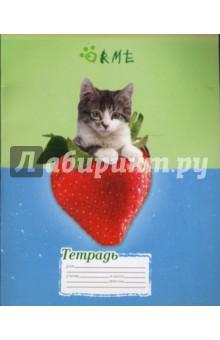 Тетрадь 24 листа, клетка (OR-57-60) Тетрадь 24 листа, клетка (OR-57-60)