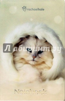 Notebook А5 112 листов Кот в белом (3359) Notebook А5 112 листов Кот в белом (3359)