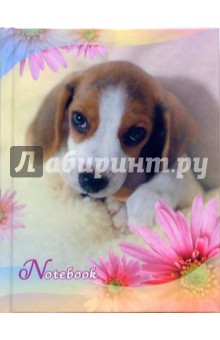 Записная книжка А6 Щенок на одеяле (С24218) Записная книжка А6 Щенок на одеяле (С24218)