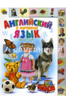 Английский язык в картинках