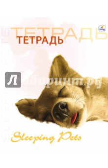 Тетрадь 48 листов клетка (ТК7481198,99,200, 201) Тетрадь 48 листов клетка (ТК7481198,99,200, 201)