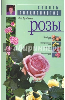 Любовь Бумбеева - Розы обложка книги Любовь Бумбеева - Розы обложка книги